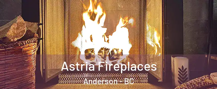  Astria Fireplaces Anderson - BC