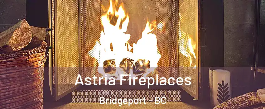  Astria Fireplaces Bridgeport - BC