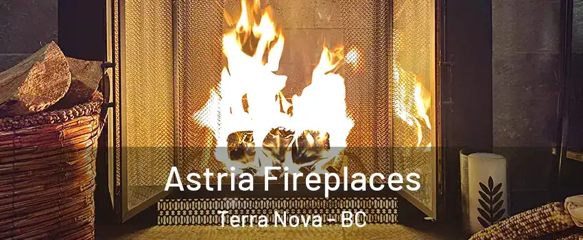  Astria Fireplaces Terra Nova - BC