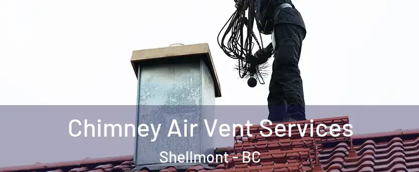  Chimney Air Vent Services Shellmont - BC
