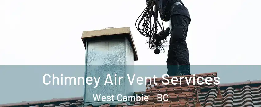  Chimney Air Vent Services West Cambie - BC