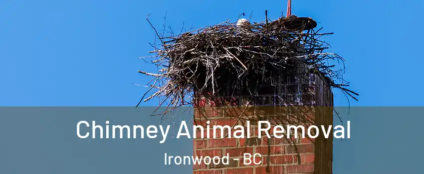 Chimney Animal Removal Ironwood - BC