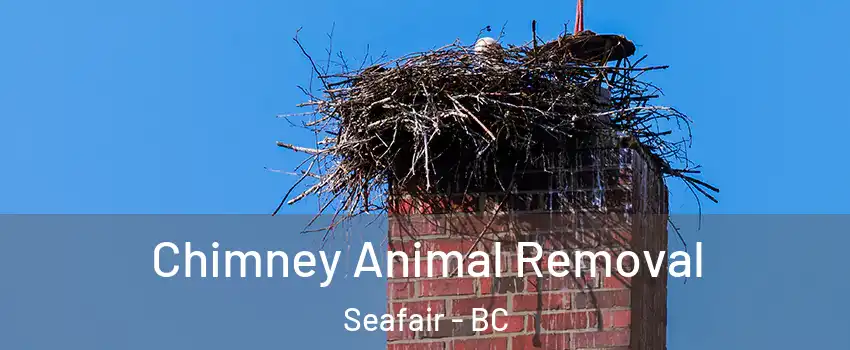 Chimney Animal Removal Seafair - BC