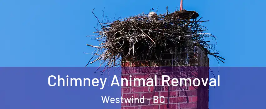 Chimney Animal Removal Westwind - BC