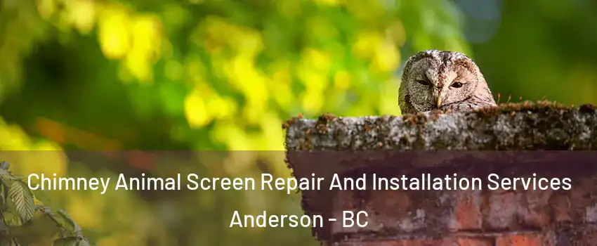  Chimney Animal Screen Repair And Installation Services Anderson - BC