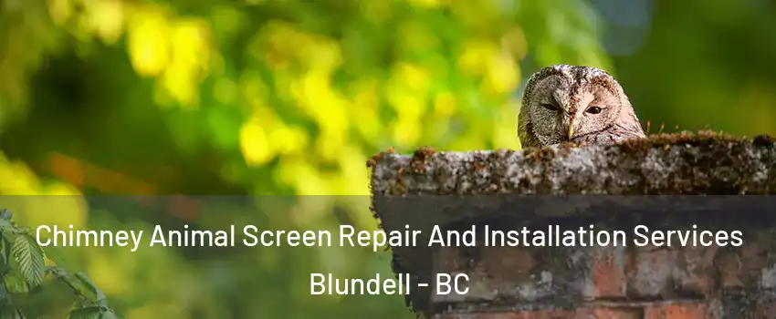  Chimney Animal Screen Repair And Installation Services Blundell - BC