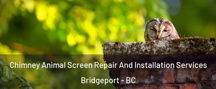  Chimney Animal Screen Repair And Installation Services Bridgeport - BC