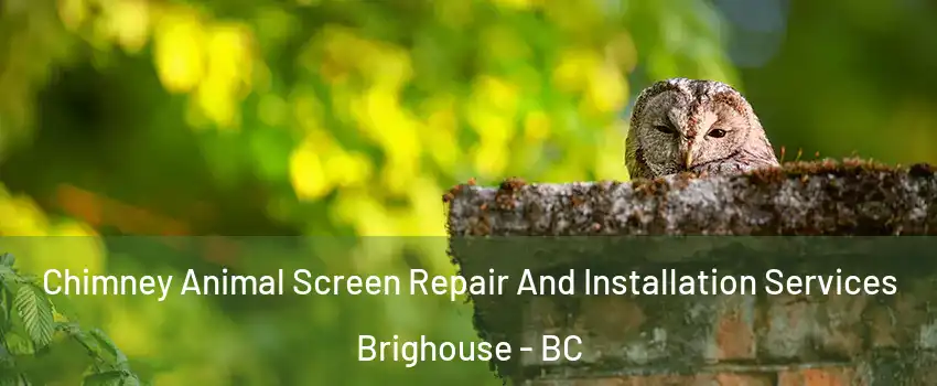  Chimney Animal Screen Repair And Installation Services Brighouse - BC