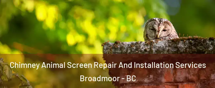  Chimney Animal Screen Repair And Installation Services Broadmoor - BC