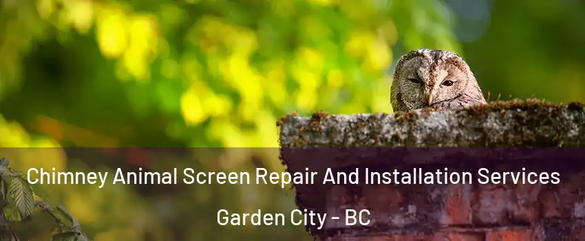  Chimney Animal Screen Repair And Installation Services Garden City - BC