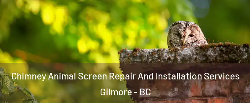  Chimney Animal Screen Repair And Installation Services Gilmore - BC