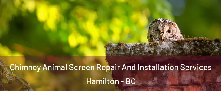  Chimney Animal Screen Repair And Installation Services Hamilton - BC