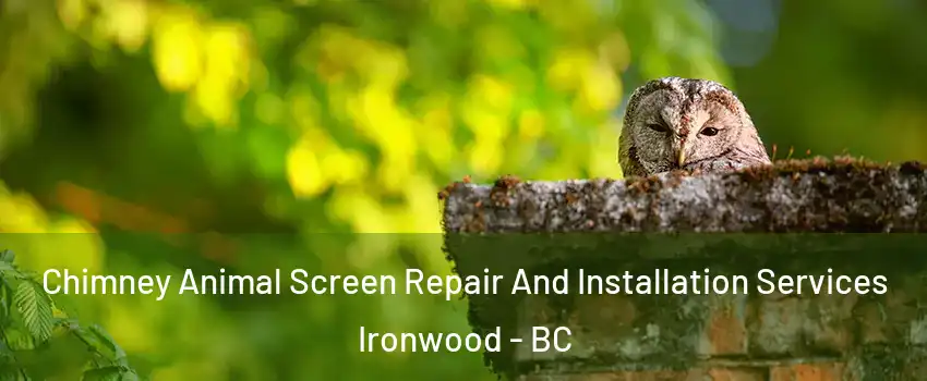  Chimney Animal Screen Repair And Installation Services Ironwood - BC