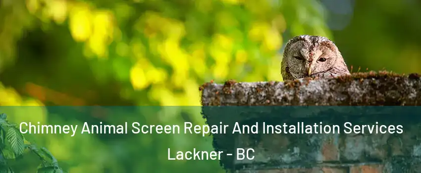  Chimney Animal Screen Repair And Installation Services Lackner - BC