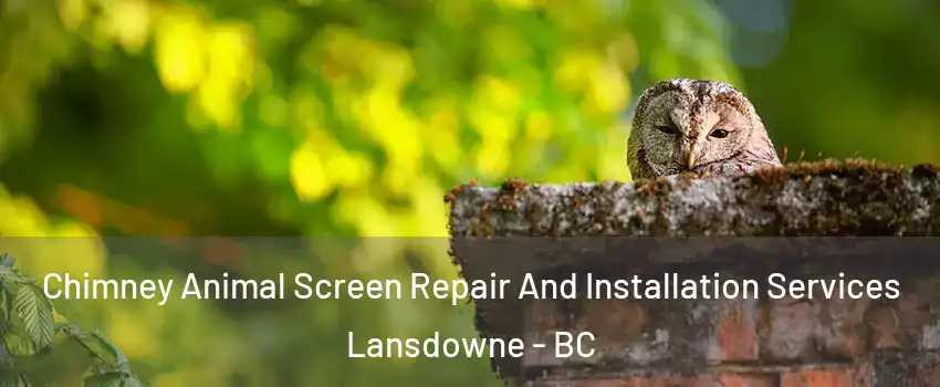  Chimney Animal Screen Repair And Installation Services Lansdowne - BC