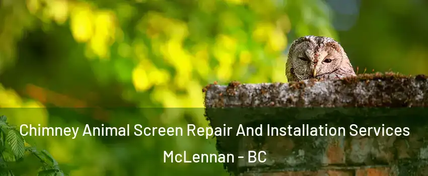  Chimney Animal Screen Repair And Installation Services McLennan - BC