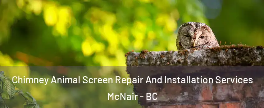  Chimney Animal Screen Repair And Installation Services McNair - BC