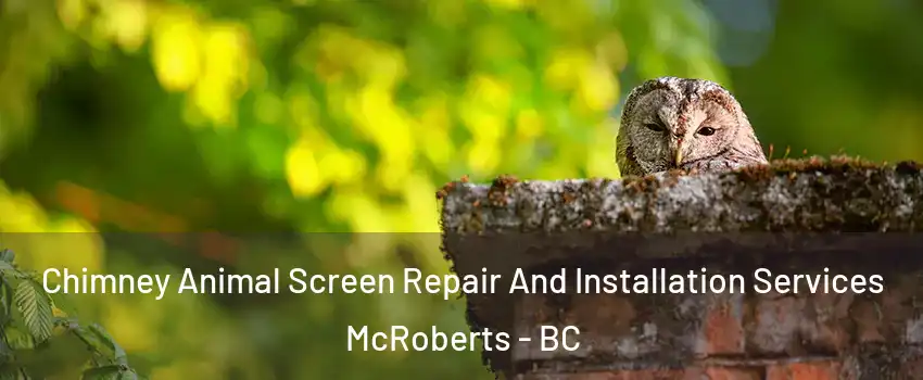  Chimney Animal Screen Repair And Installation Services McRoberts - BC