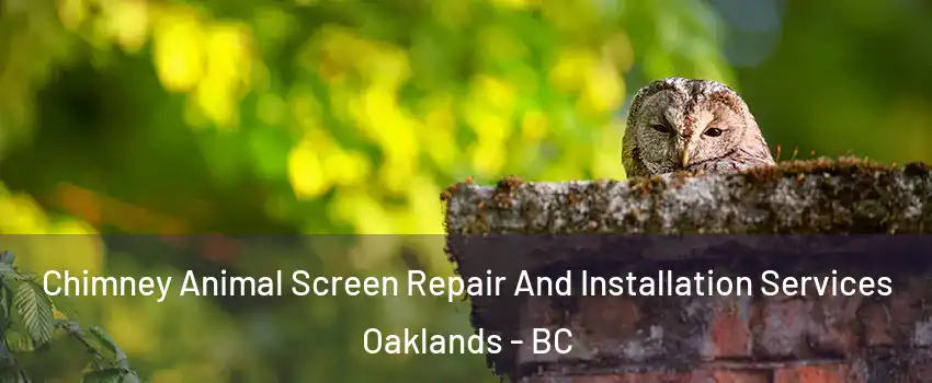  Chimney Animal Screen Repair And Installation Services Oaklands - BC