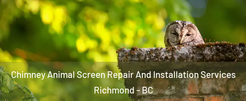  Chimney Animal Screen Repair And Installation Services Richmond - BC