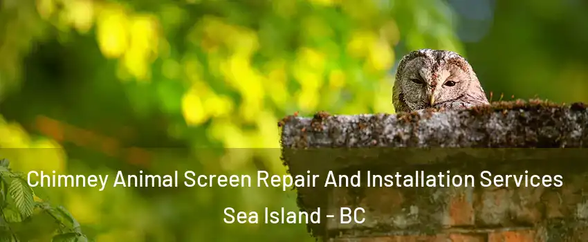  Chimney Animal Screen Repair And Installation Services Sea Island - BC