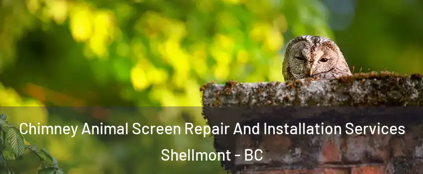  Chimney Animal Screen Repair And Installation Services Shellmont - BC