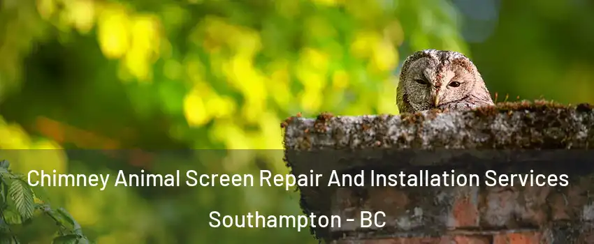  Chimney Animal Screen Repair And Installation Services Southampton - BC