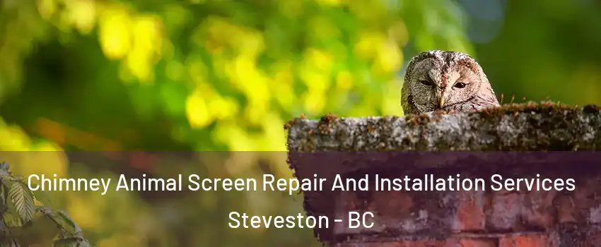  Chimney Animal Screen Repair And Installation Services Steveston - BC