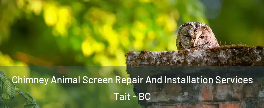  Chimney Animal Screen Repair And Installation Services Tait - BC