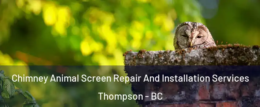  Chimney Animal Screen Repair And Installation Services Thompson - BC