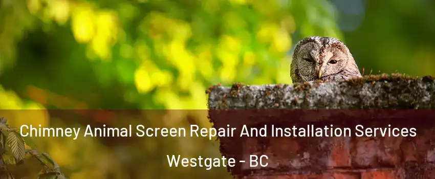  Chimney Animal Screen Repair And Installation Services Westgate - BC