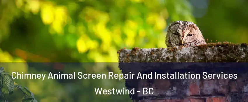  Chimney Animal Screen Repair And Installation Services Westwind - BC
