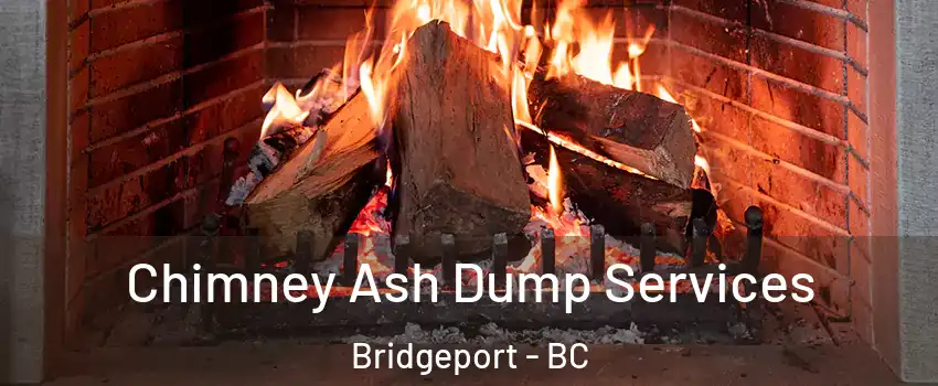  Chimney Ash Dump Services Bridgeport - BC