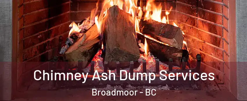  Chimney Ash Dump Services Broadmoor - BC