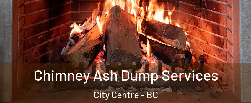  Chimney Ash Dump Services City Centre - BC