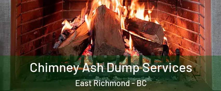  Chimney Ash Dump Services East Richmond - BC