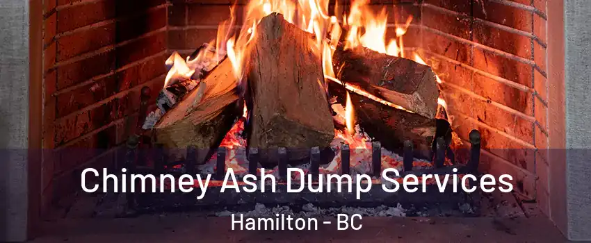  Chimney Ash Dump Services Hamilton - BC