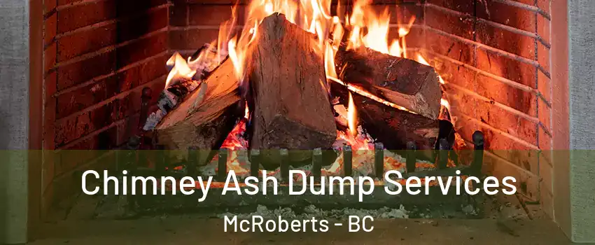  Chimney Ash Dump Services McRoberts - BC