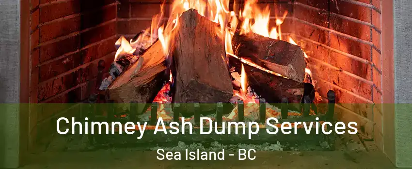 Chimney Ash Dump Services Sea Island - BC