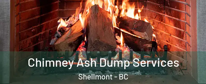  Chimney Ash Dump Services Shellmont - BC