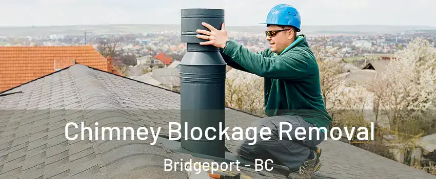  Chimney Blockage Removal Bridgeport - BC