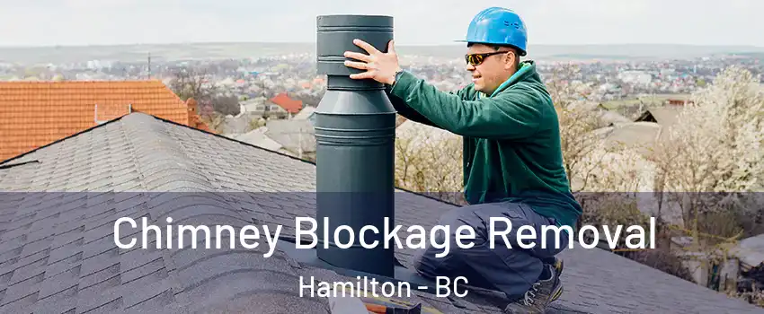  Chimney Blockage Removal Hamilton - BC