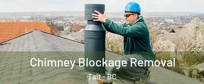 Chimney Blockage Removal Tait - BC