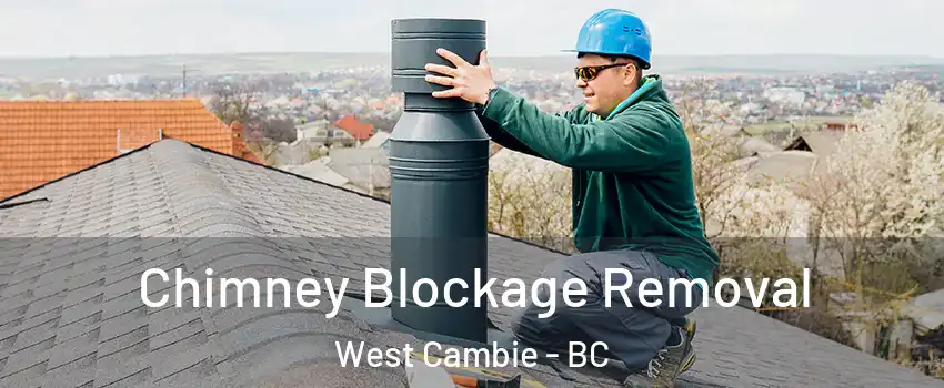  Chimney Blockage Removal West Cambie - BC