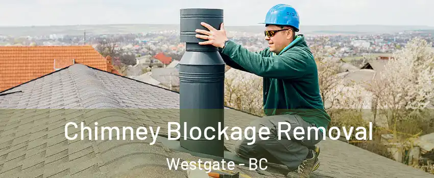  Chimney Blockage Removal Westgate - BC