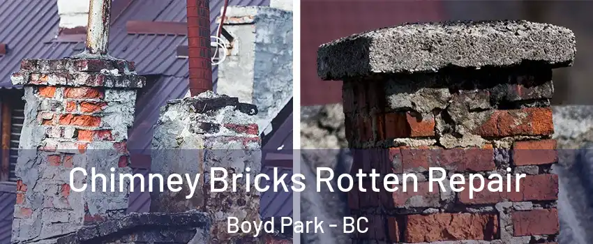 Chimney Bricks Rotten Repair Boyd Park - BC