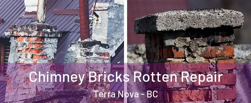  Chimney Bricks Rotten Repair Terra Nova - BC