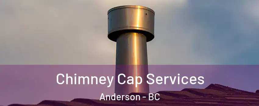  Chimney Cap Services Anderson - BC