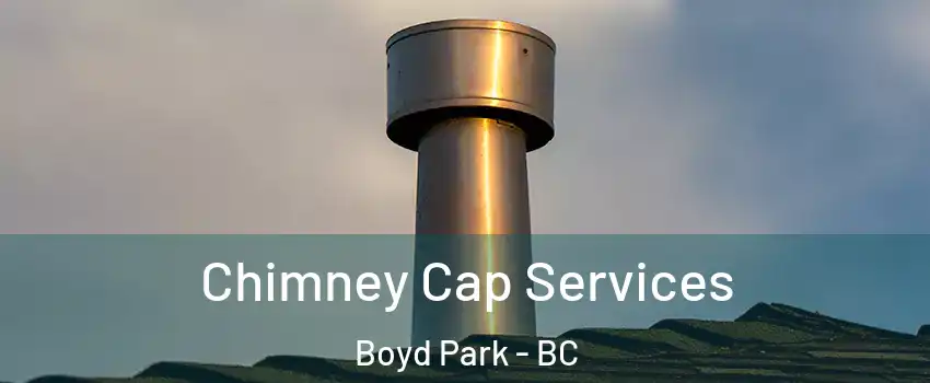  Chimney Cap Services Boyd Park - BC