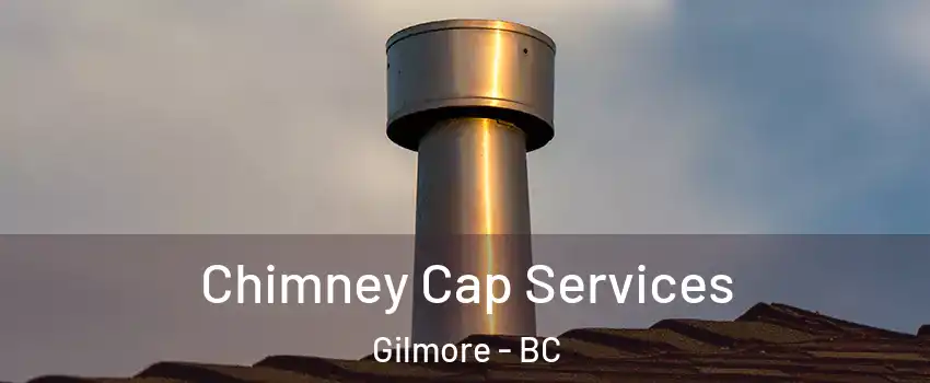  Chimney Cap Services Gilmore - BC